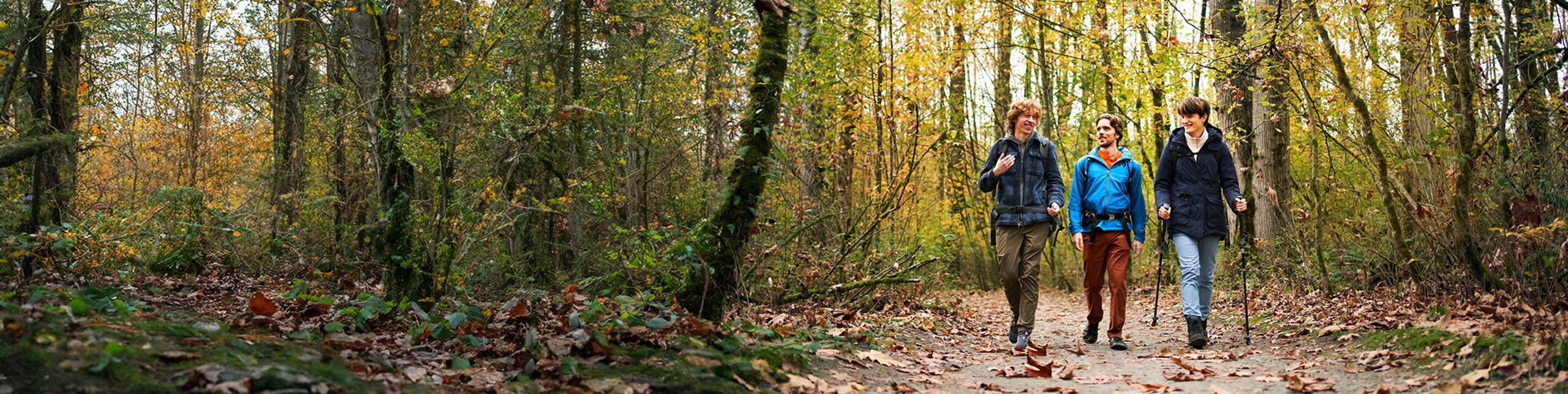 Three adults hiking in the woods