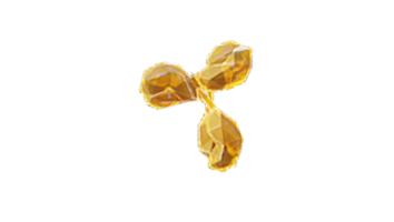 An IA-2A autoantibody