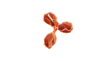 A ZnT8A autoantibody